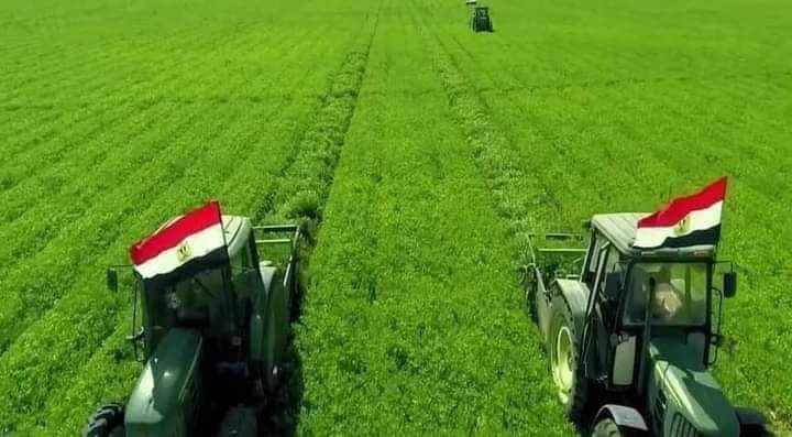 تفاصيل مشروع مستقبل مصر للإنتاج الزراعي - المفتاح الاقتصادي
